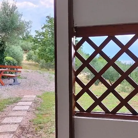 Apartma Panorama *