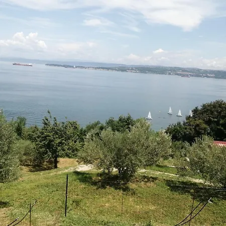 Apartma Panorama *