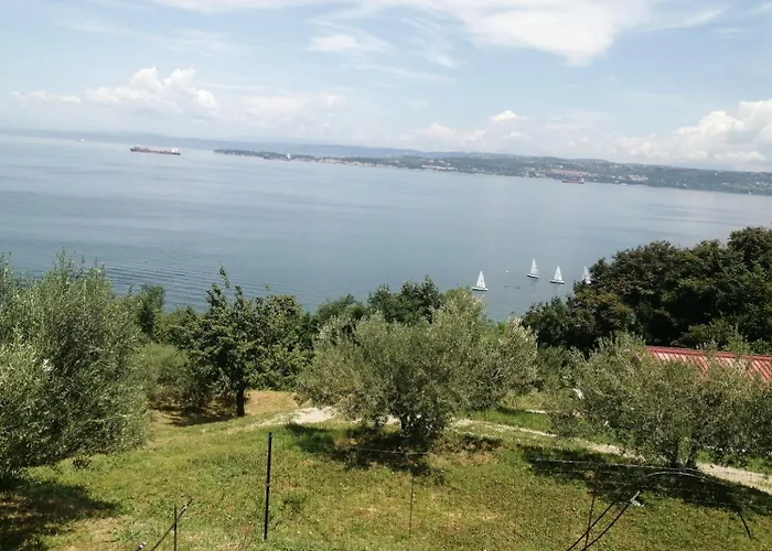 Apartma Panorama *