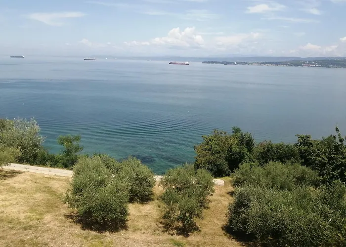 Apartma Panorama דירה קופר