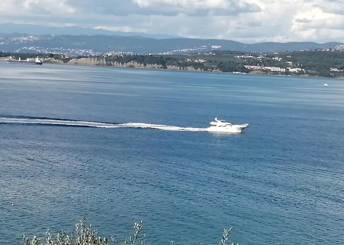 Apartma Panorama קופר